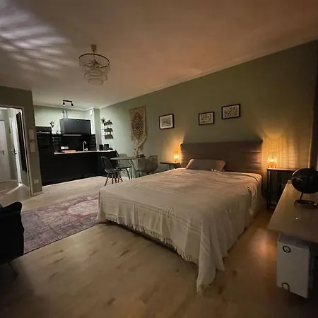 #1 Studioapartment Mit Loreleyblick Direkt An Der Schoensten Etappe Des Rheinsteigs Appartement