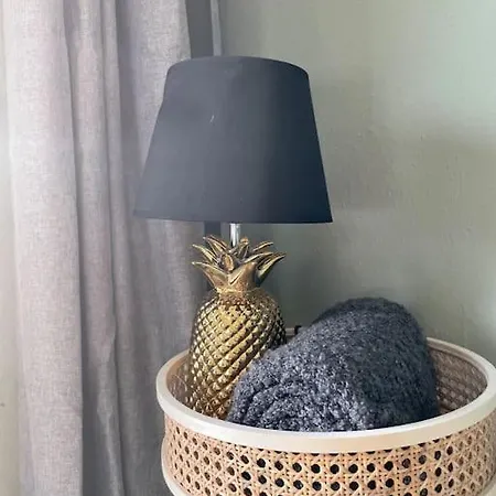 Appartement #1 Studioapartment Mit Loreleyblick Direkt An Der Schoensten Etappe Des Rheinsteigs