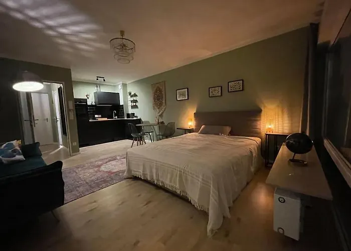 #1 Studioapartment Mit Loreleyblick Direkt An Der Schoensten Etappe Des Rheinsteigs 公寓